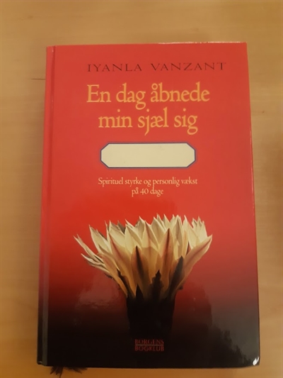 Vanzant, Iyanla: En dag åbnede min sjæl sig - (BRUGT - VELHOLDT)
