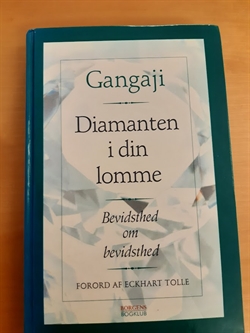 Gangaji: Diamanten i din lomme - (BRUGT - VELHOLDT)